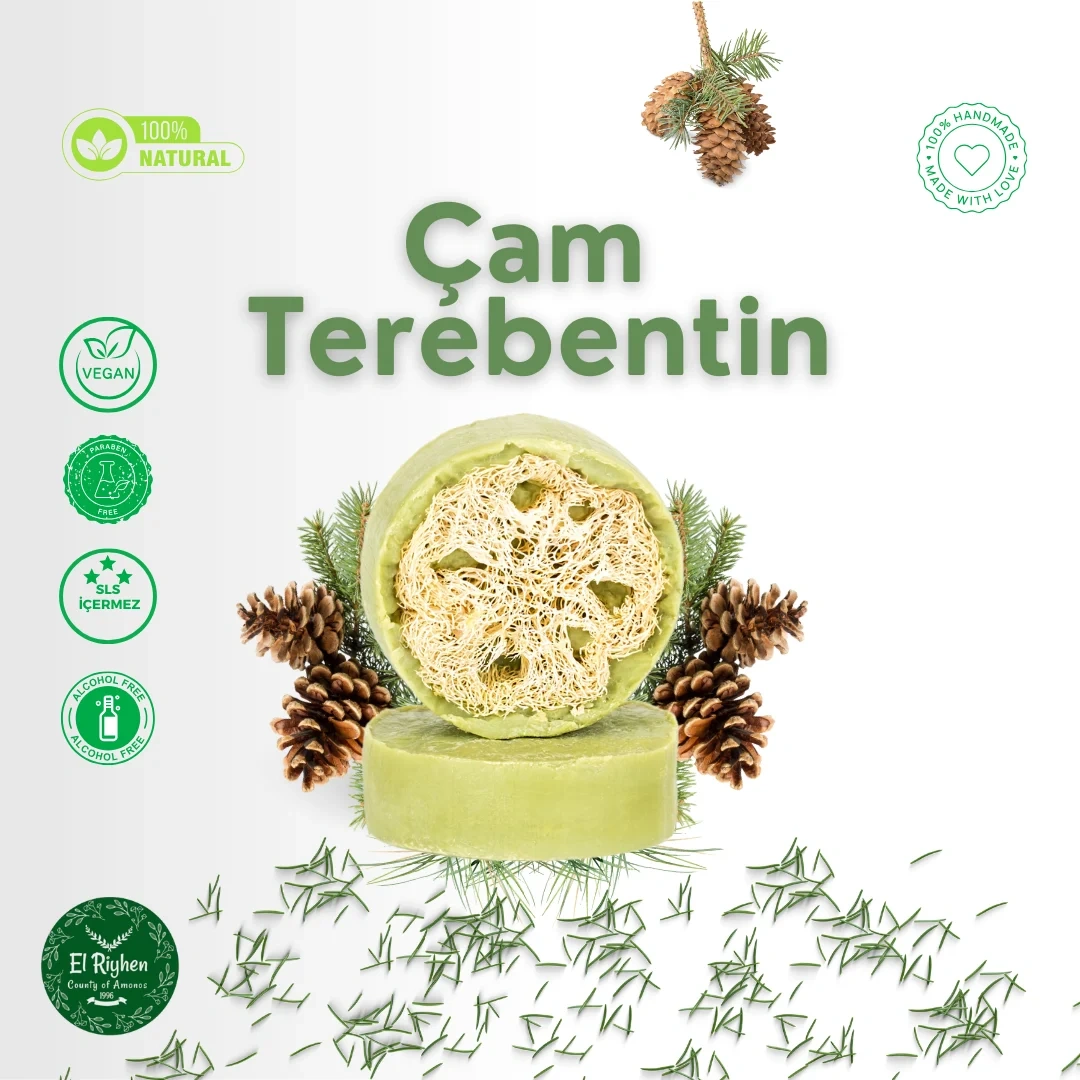 Çam Terebentin