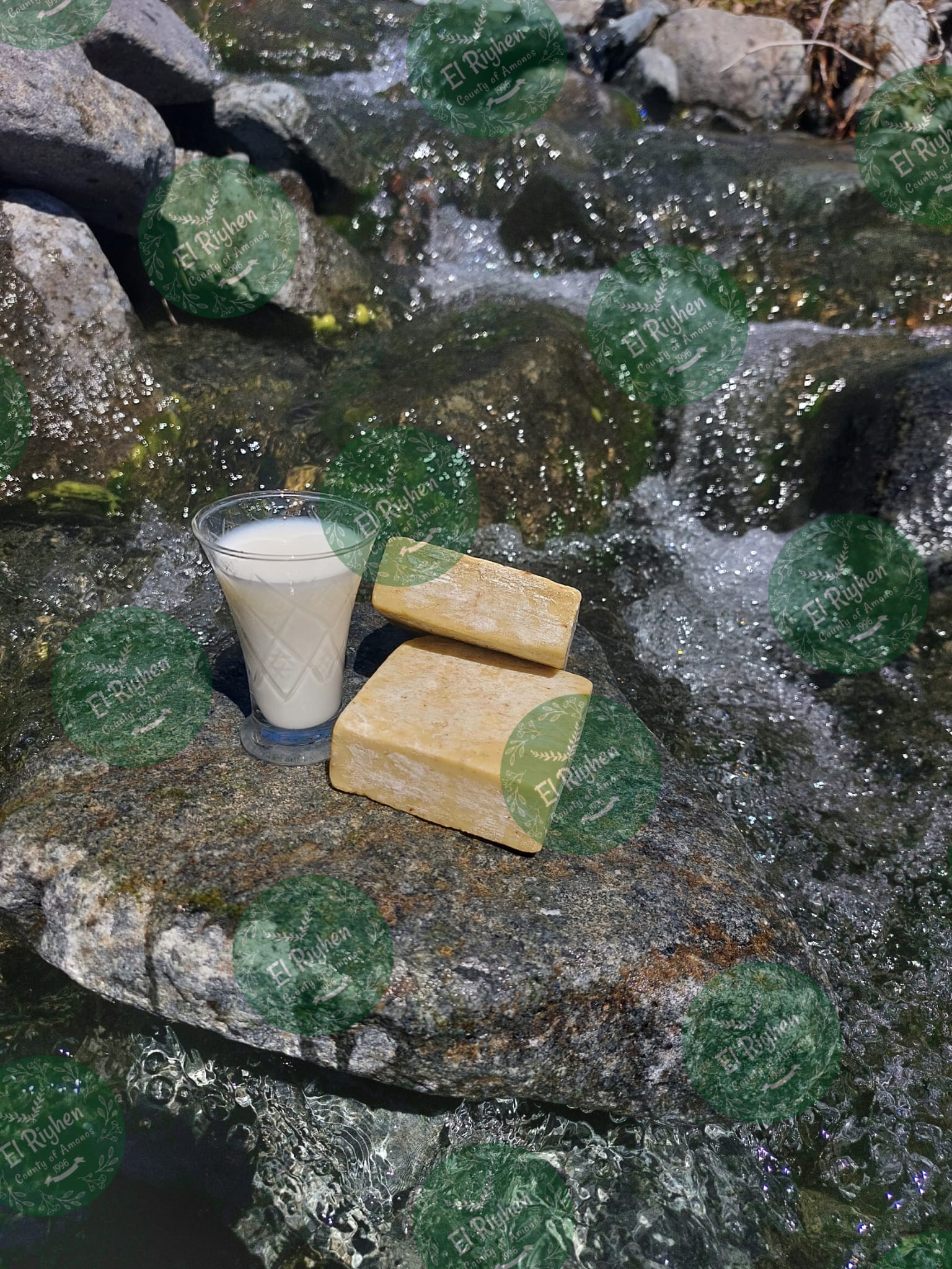 WhatsApp Image 2024-08-27 at 23.51.50