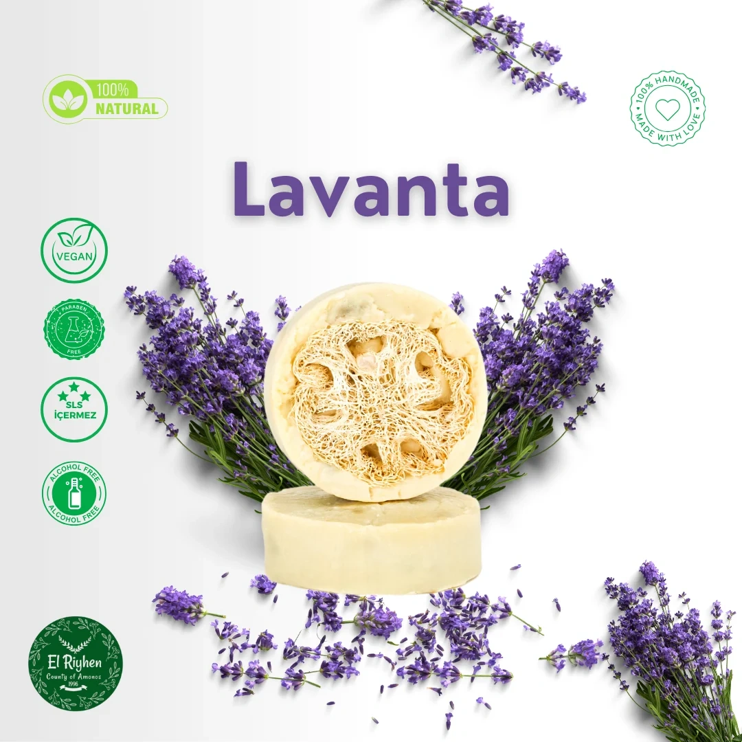 lavanta
